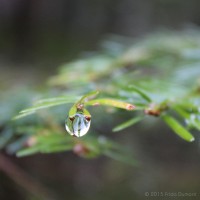 /album/galerie-photos/frida-dumont-img-4754-jpg1/